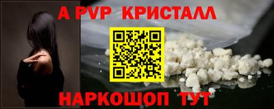 гашик Камышлов