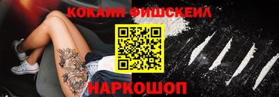 гашик Камышлов