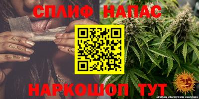 гашик Камышлов