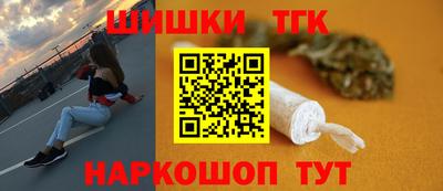 гашик Камышлов