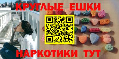 гашик Камышлов