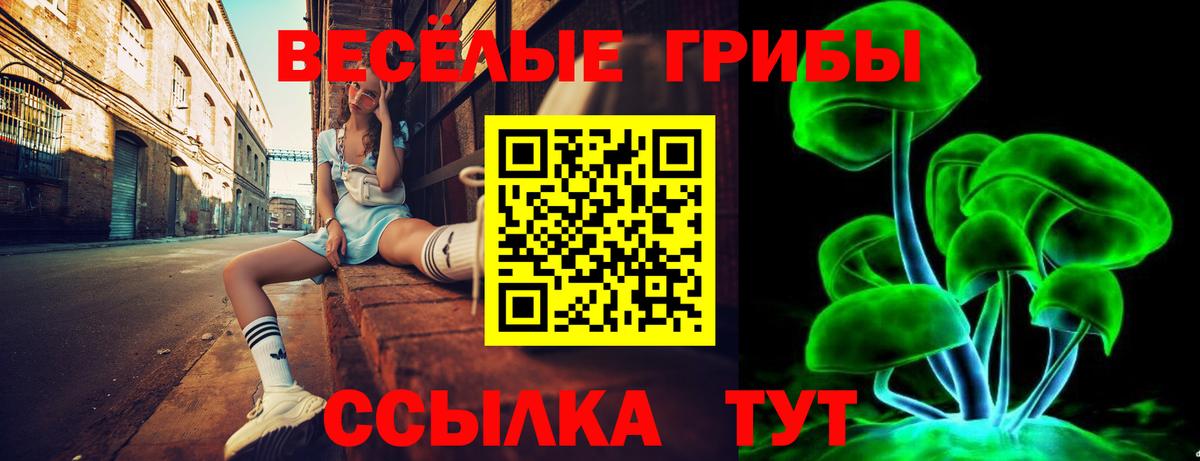 Галлюциногенные грибы ЛСД Дзержинский
